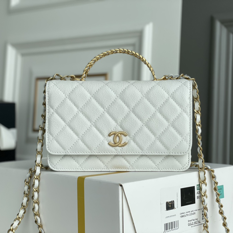 Chanel WOC Bags